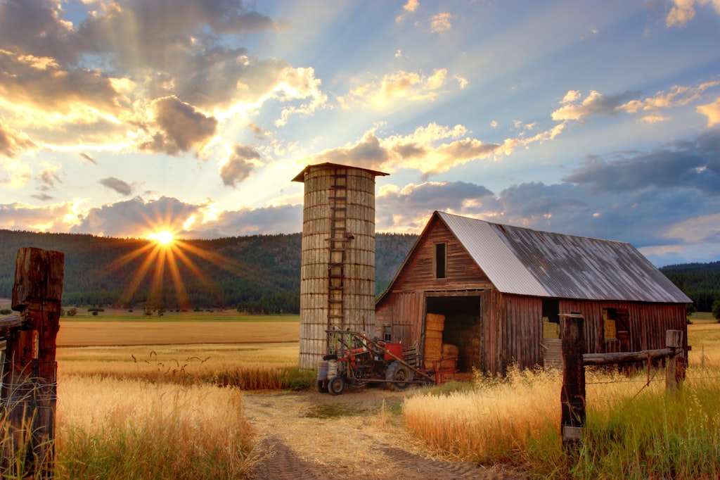 Fattoria GreenLeaf's Barn kit transizione biologica