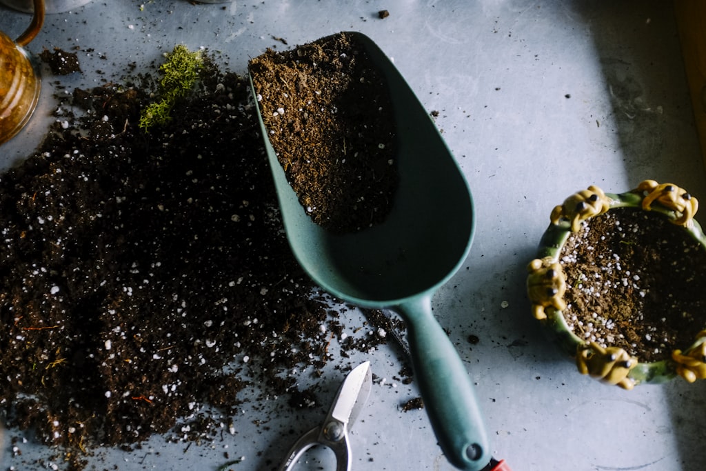 Verdure biologiche fresche dal campo